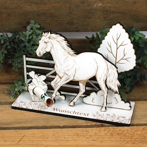 Geldgeschenk Pferd - inkl. Wunschtext - Schild für Geld Gutschein Reiten Reiter Reiterin Gutscheingeschenk Geburtstagsgeschenk Reiterhof
