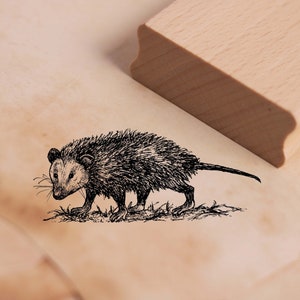 Timbro con motivo Opossum goes - timbro timbro in legno 68 x 28 mm - stampaggio artigianale scrapbooking goffratura timbro animale scuola materna