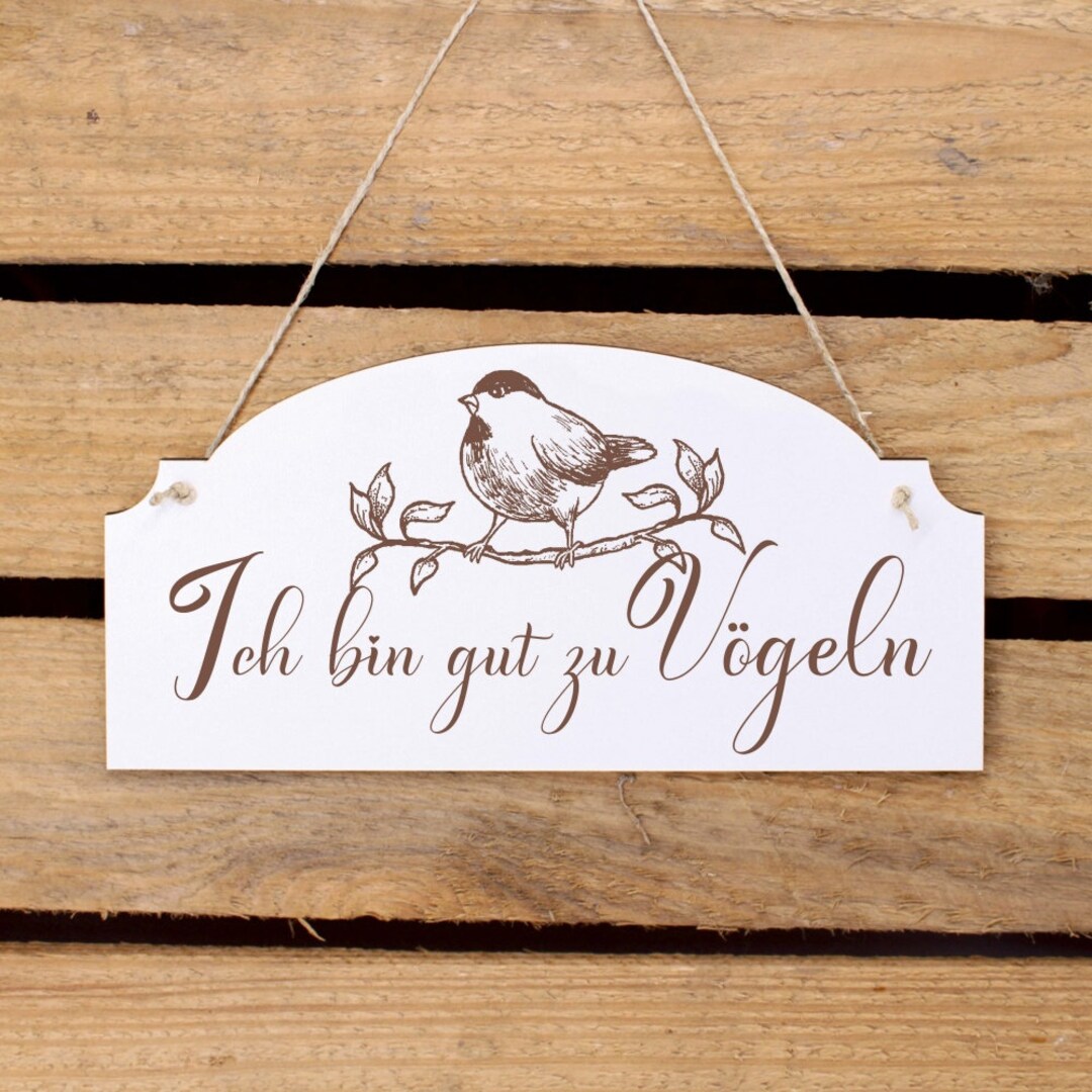 Schild mit Spruch Ich bin gut zu Vögeln Dekoschild mit Vogel Motiv Vintage Türschild 20 x 10