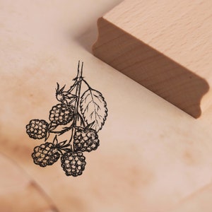 Stempel Brombeere - Motivstempel ca. 27 x 38 mm • Holzstempel Scrapbooking Embossing • Kindergarten Schule Natur Gärtner Gärtnerei Frucht