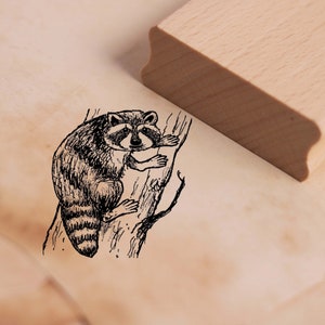 Timbre à motif petit raton laveur grimpant sur l'arbre - timbre en bois 38 x 38 mm - scrapbooking gaufrage artisanat estampage cadeau