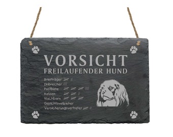 Schiefertafel « CAVALIER KING CHARLES Spaniel - Vorsicht – freilaufender Hund » Schild Hunde Garten Hundeschild Warnung Humor Hundezubehör