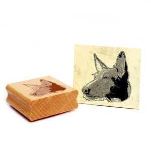 Motivstempel Podenco Andaluz  Stempel Hund Holzstempel 46 x 48 mm - Geschenkidee Hundebesitzer Hundefan Hundefreund Geschenk