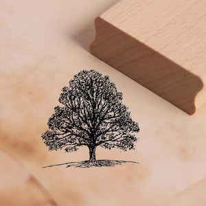 May include: Black and white line drawing of a tree with a thick trunk and many branches. The tree is on a white background.