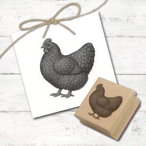 Könnte beinhalten: Schwarz-Weiß-Illustration eines Huhns auf einer weißen Karte, mit Bindfaden gebunden. Ein Holzstempel mit einem Hühnerbild ist ebenfalls vorhanden. Das Huhn ist mit strukturierten Federn und einem Kamm detailliert.