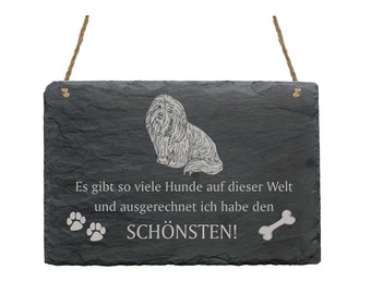 Schiefertafel « COTON DE TULÉAR - schönster Hund » Hunde Spruch Schild Dekoration Türschild Hunderasse Geschenk Hundebesitzer Baumwollhund