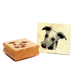 Timbro con motivo Timbro levriero cane timbro in legno 48 x 44 mm - idea regalo proprietario del cane fan del cane regalo per amante dei cani