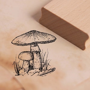 Motivstempel Knollenblätterpilz - Stempel Holzstempel 48 x 48 mm - Stempeln Basteln Scrapbooking Embossing Kindergarten Schule Wald Herbst