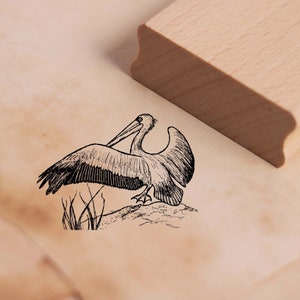 Motivstempel Fliegender Pelikan Stempel 48 x 36 mm - Holzstempel Scrapbooking Embossing Stempeln Vögel Tropen Kindergarten Schule Zoo Natur