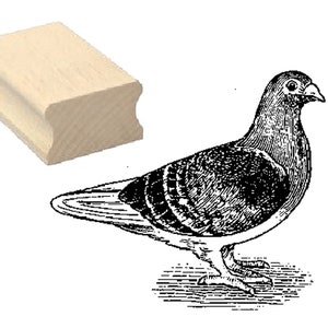 Sello s TAUBE » Motivo sello de madera sello Scrapbooking relieve fabricación de sellos regalo aves aves ornitólogo ciudad paloma carta paloma paloma paloma