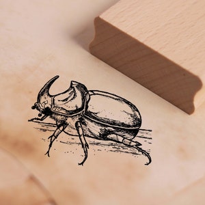 Timbre à motif Scarabée rhinocéros - Timbre Coléoptère Insecte 38 x 28 mm - Timbre en bois Scrapbooking Embossage Timbres Artisanat - École Maternelle