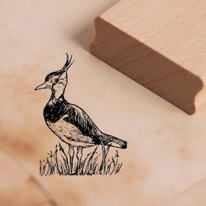 Motif Timbre Lapwing Timbre Oiseau 37 x 48 mm - Timbre en bois Scrapbooking Tampons de gaufrage Artisanat Cadeau Maternelle École Nature Oiseaux