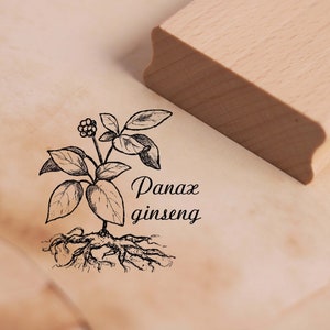 Motif Stamp Panax Ginseng Stamp 38 x 38 mm - Wooden Stamp Scrapbooking Embossing Stamps Crafts - Plant Asia Natural Botany