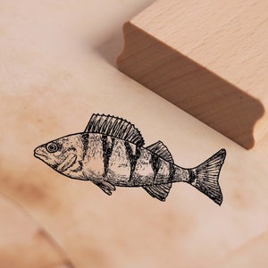 Sello con motivo perca - sello pez perca sello de madera 58 x 28 mm - scrapbooking estampado en relieve artesanía regalo pesca