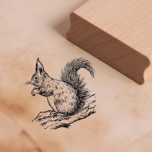 Motif Timbre Mignon Écureuil sur Branche Timbre 48 x 48 mm - Timbre en bois Scrapbooking Tampons de gaufrage Artisanat Timbre animal - Écureuil