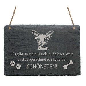 Slate afel «CHIHUAHUA KURZHAAR KOPF-Most Beautiful Dog» Dogs Sworsh Shield Decoration Door Break Gift Dog Owner Mexico