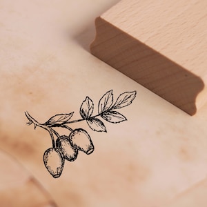 Stamp Rose Hips - Motif Stamp approx. 48 x 38 mm • Wooden Stamp Scrapbooking Crafts • Kindergarten School Natural Plant Rose DogRose