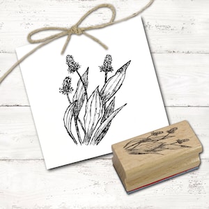Motivstempel Spitzwegerich - Stempel Holzstempel 38 x 48 mm