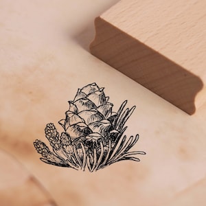 Timbro con motivo pigne timbro pino pino 48 x 38 mm - timbro in legno che timbra artigianato scrapbooking goffratura - regalo natura pigne foresta