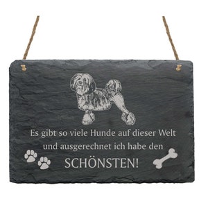 Schiefertafel « LÖWCHEN - schönster Hund » Hunde Spruch Schild Dekoration Hunderasse Türschild Geschenk Hundebesitzer Hundezucht Frankreich