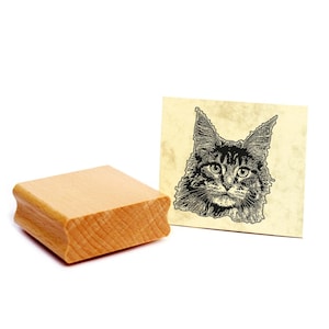 Tampon motif Maine Coon - tampon chat tampon en bois environ 48 x 48 mm - motif tampon chat tête de chat cadeau pour animaux de compagnie amoureux des chats