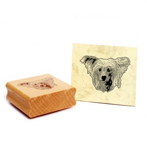 Timbro con motivo Timbro cane crestato cinese Timbro in legno per cani 48 x 35 mm - Idea regalo Proprietario del cane Fan del cane Regalo per amante dei cani