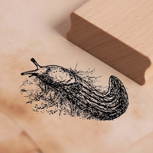 Timbre à motif escargot sangsue - timbre en bois 48 x 28 mm - scrapbooking gaufrage artisanat estampage timbre animal école maternelle