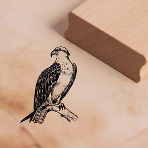 Motivo timbro falco pescatore - timbro aquila di mare 36 x 48 mm - timbro in legno scrapbooking goffratura timbratura artigianato scuola materna - uccello aquila