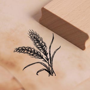 Timbro con motivo spiga di grano - timbro in legno 48 x 48 mm - scrapbooking, goffratura, artigianato, timbratura, essere creativi, idea regalo