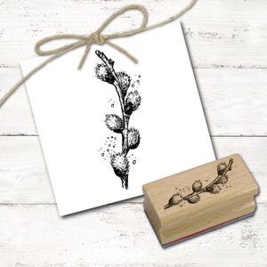 Motivstempel Weidenkätzchen - Stempel Frühling Natur Holzstempel 28 x 68 mm - Stempeln Basteln Scrapbooking Garten Pflanze Gärtnerei