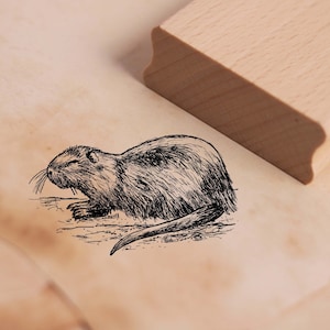 Motivstempel Nutria - Biberratte Stempel 48 x 28 mm - Holzstempel Scrapbooking Embossing Stempeln Basteln Kindergarten Schule Tiere Natur