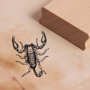 Motivstempel Skorpion - Stempel 38 x 48 mm - Holzstempel Scrapbooking Embossing Stempeln Basteln Tiere Tierstempel Wüste Zoo Tierpark