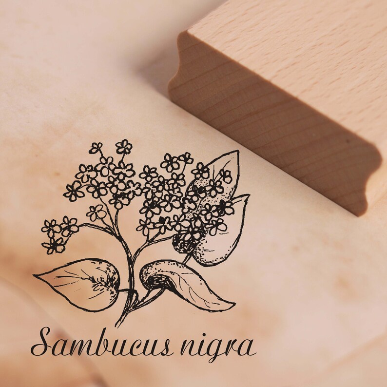 Stamp Sambucus nigra Wood Stamp Scrapbooking 38 x 38 mm Approx Motif Stamp Black Elderberry Plant Natural Herbs Botany Garden