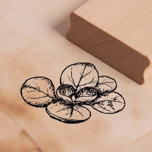 Motif stamp lamb&#39;s lettuce - vegetable stamp 48 x 28 mm - wooden stamp scrapbooking embossing craft stamping kindergarten school kitchen gardening