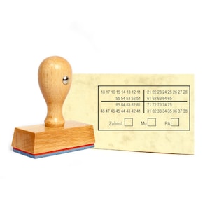 Esquema dental del sello - sello de madera 60 x 30 mm - Dentista practicar dentista dientes dientes estado dental del paciente - Sello dental hecho de madera de haya