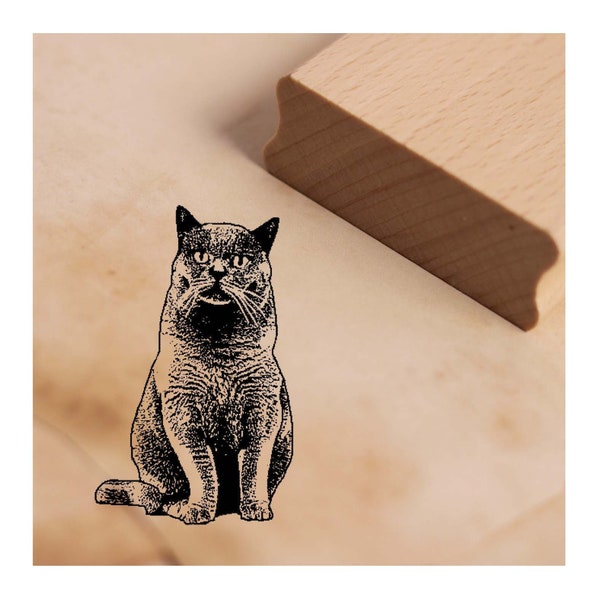 Stempel British Shorthair Cat - Motiefstempel ca. 38 x 38 mm • Scrapbooking houten stempel • Katten Accessoires Kattenstempel Cadeau BKH Kater