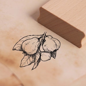 Timbro con motivo mela cotogna - timbro in legno 48 x 38 mm - scrapbooking goffratura timbratura regalo artigianale frutta giardino estivo