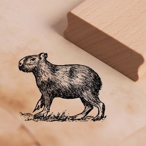 Motivstempel Capybara - Wasserschwein Stempel 48 x 38 mm - Holzstempel Tierstempel Scrapbooking Embossing Basteln Geschenk Geburtstag