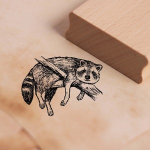 Timbre à motif petit raton laveur couché sur la branche - timbre en bois 38 x 28 mm - scrapbooking gaufrage artisanat estampage cadeau