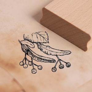 Timbro con motivo "frutto di tiglio" - timbro in legno di tiglio 48 x 38 mm - scrapbooking, goffratura, artigianato, timbratura, essere creativi, idea regalo