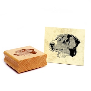 Motivstempel Entlebucher Sennenhund Stempel Hund Holzstempel 48 x 39 mm - Geschenkidee Hundebesitzer Hundefan Hundefreund Geschenk
