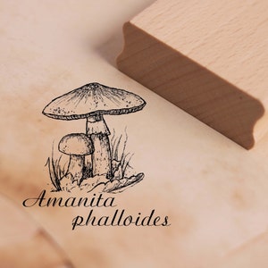 Motivstempel Amanita phalloides - Grüner Knollenblätterpilz - Pilz Stempel Holzstempel 48 x 48 mm - Stempeln Basteln Scrapbooking Embossing
