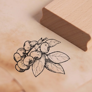 Blueberry stamp - motif stamp approx. 38 x 27 mm • wood stamp scrapbooking embossing • kindergarten school nature gardener nursery fruit