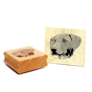 Timbro con motivo Timbro Azawakh Timbro in legno cane levriero 48 x 41 mm - idea regalo proprietario del cane fan del cane regalo per amante dei cani