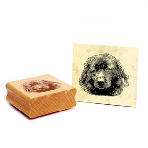 Motivstempel Serra De Estrela Berghund Stempel Hund Holzstempel 48 x 40 mm - Geschenkidee Hundebesitzer Hundefan Hundefreund Geschenk