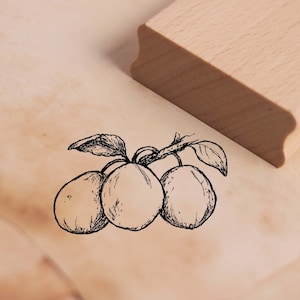 Sello con motivo ciruelas - sello de madera 48 x 28 mm - scrapbooking estampado estampado artesanía regalo fruta jardín
