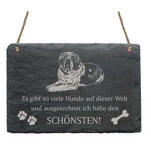 Schiefertafel « BERNHARDINER - schönster Hund » Hunde Spruch Schild Deko Türschild Hunderasse Geschenk Hundebesitzer Schweiz Hundezucht