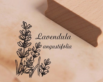 Motivstempel Lavendel Lavandula angustifolia Stempel 48 x 48 mm - Holzstempel Scrapbooking Embossing Basteln Stempeln - Geschenk Botanik