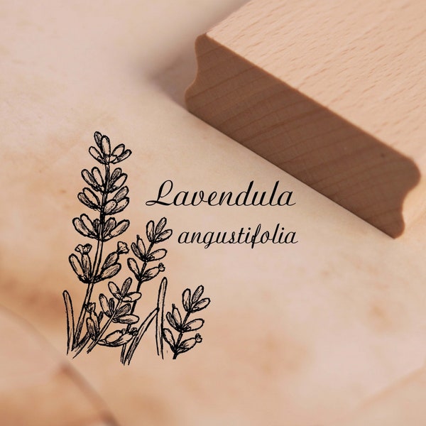 Motivstempel Lavendel Lavandula angustifolia Stempel 48 x 48 mm - Holzstempel Scrapbooking Embossing Basteln Stempeln - Geschenk Botanik