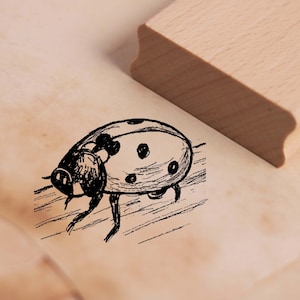 Motivo Timbro Coccinella su Legno Francobollo 38 x 28 mm - Francobollo in Legno Scrapbooking Goffratura Francobolli Artigianato Regalo Natura Asilo